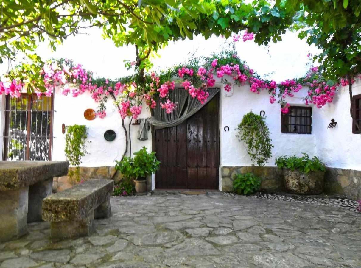 Cortijo La Gineta Vendégház Alcalá la Real Kültér fotó
