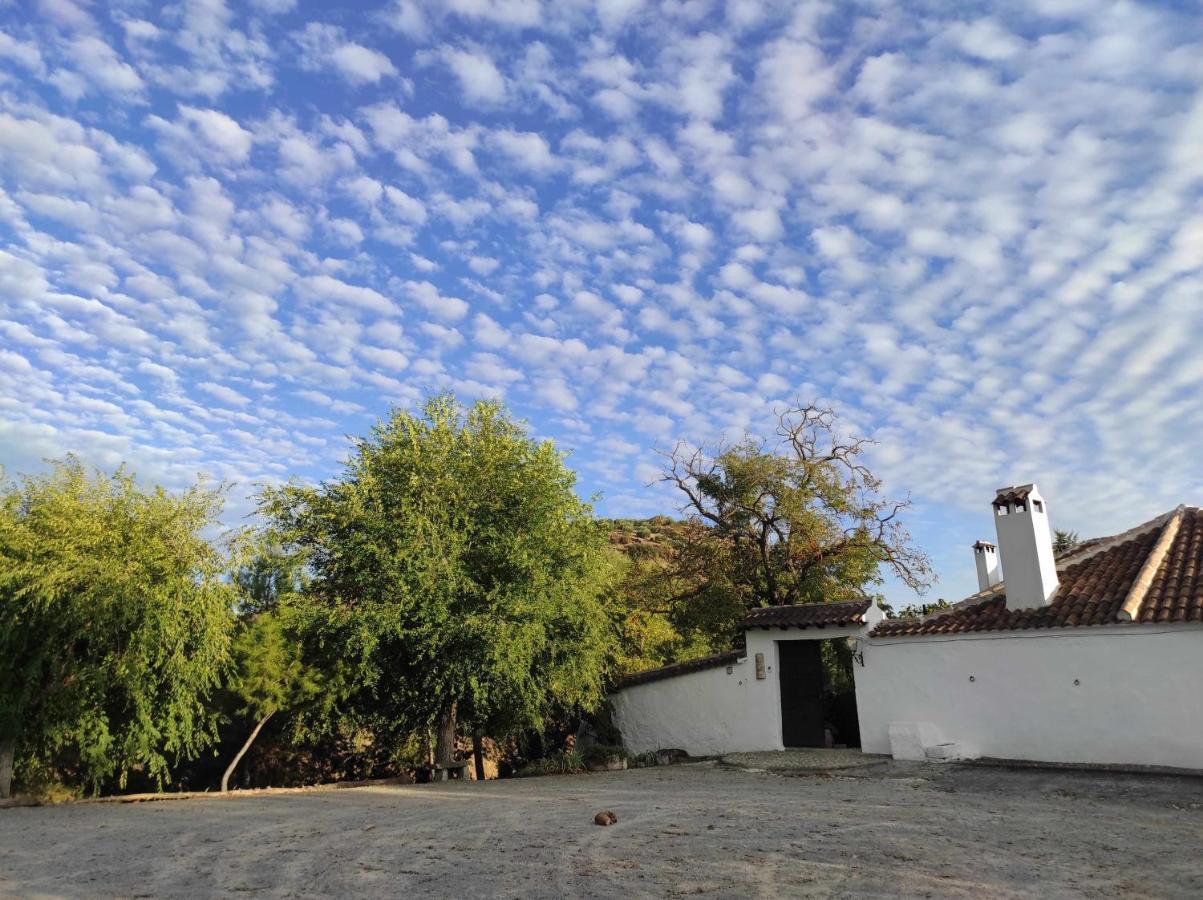 Cortijo La Gineta Vendégház Alcalá la Real Kültér fotó